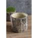 Union Rustic Caines Cement Pot Planter Concrete, Wood in Brown/Gray | 8 H x 9 W x 9 D in | Wayfair A6D56A37A1F143BB9EDD4AE68BF35C40