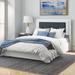 Orren Ellis Riddick Tufted Standard Bed Wood & /Upholstered/Faux leather in Gray | 48.625 H x 79.375 W x 84.125 D in | Wayfair