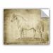 Williston Forge Fenton Horse Anatomy 101 Removable Wall Decal Vinyl in Black | 24" H x 32" W x 0.1" D | Wayfair WLFR2802 40022314