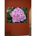 Ebern Designs Goulart Lavender Peony Wall Decal Canvas/Fabric in Green/Pink | 18 H x 24 W in | Wayfair 21AE1A15371044D196ED2E1DF36A8D2D