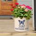 August Grove® Woolbright Ceramic Pot Planter Ceramic in Black | 9 H x 9.75 W x 9.75 D in | Wayfair 5CB3104C00C841F5B309CDDC1C9ADE2E
