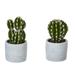 Primrue 2 Piece Cactus Desktop Succulent Plant in Pot Set Plastic | 3 H in | Wayfair ED15B334804145E495BC380CB18486D8