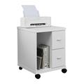 Office / File Cabinet / Printer Cart / Rolling File Cabinet / Mobile / Storage / Work / Laminate / White / Contemporary / Modern - Monarch Specialties I 7055