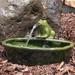 Red Barrel Studio® Hyman Ceramic Solar Frog Outdoor Water Fountain | 7 H x 13.5 W x 10.5 D in | Wayfair B87931A95C854A6FA6F4A4DD00726FB9