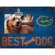 Florida Gators 10.5" x 8" Best Dog Clip Photo Frame