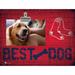 Boston Red Sox 10.5" x 8" Best Dog Clip Photo Frame