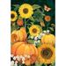Toland Home Garden Sunny Pumpkins 28 x 40 inch House Flag, Polyester in Green/Orange | 40 H x 28 W in | Wayfair 1010538