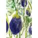 Toland Home Garden Watercolor Eggplants 28 x 40 inch House Flag, Polyester in Blue/Brown/Green | 40 H x 28 W in | Wayfair 109984