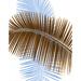 Menaul Fine Art 'Palm Frond' by Scott J. Menaul Graphic Art on Wrapped Canvas in White | 36 H x 24 W x 1.5 D in | Wayfair 724131669010men-282-V