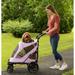 Pet Gear Folding Standard Stroller in Indigo | 41 H x 15 W x 26 D in | Wayfair PG8650NZLI