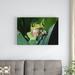 East Urban Home 'Blue-Sided Leaf Frog Hanging on Leaf' Photographic Print on Canvas in Green | 12" H x 18" W x 1.5" D | Wayfair URBH8304 38406557