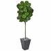 Brayden Studio® 56" Artificial Fiddle Leaf Fig Tree in Planter Earthenware/Silk/Plastic | 72 H x 28 W x 28 D in | Wayfair