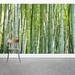 Wallums Wall Decor Light & Bright Bamboo Forest 8' x 144" 3 Piece Wall Mural Fabric in Green | 144 W in | Wayfair 71924805-144x96
