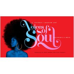 EastWest Voices Of Soul