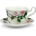 One Allium Way® Sonya David Austin English Rose 2 Piece Bone China Teacup & Saucer Set Ceramic in Green/Pink | 4 H in | Wayfair