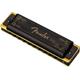 Fender Blues Deville Harmonica, Schlüssel von C, Phosphorbronze