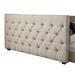 Darby Home Co Zael Daybed w/ Trundle Upholstered/Polyester in Brown/White | 35.25 H x 43 W x 88.25 D in | Wayfair 39C59A2070374C7C8488F313A237A8EB