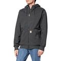 Carhartt Men's Big & Tall RD Rockland Sherpa Lined Hooded Sweatshirt, Carbon Heather, 3X-Large