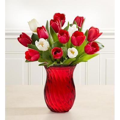 1-800-Flowers Seasonal Gift Delivery Holiday Tulips 15 Stems W/ Red Vase