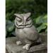 August Grove® Anthony Hoot Owl Statue Concrete in Gray | 10.5 H x 8.25 W x 9.25 D in | Wayfair 1BD73DB8041545C7AA67B9725669D9DE