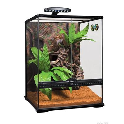 Exo Terra Crested Gecko Kit Large