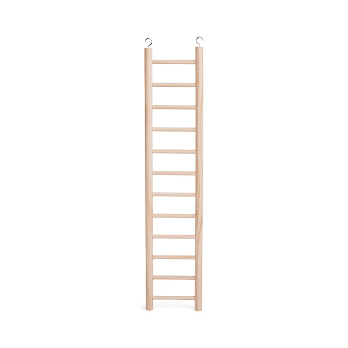 You & Me Bird 12-Step Wood Bird Ladder, 23.5" L