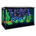 Glass Aquarium Kit 10 Gallon, 20" L X 10 " W X 12" H, Standard, Transparent