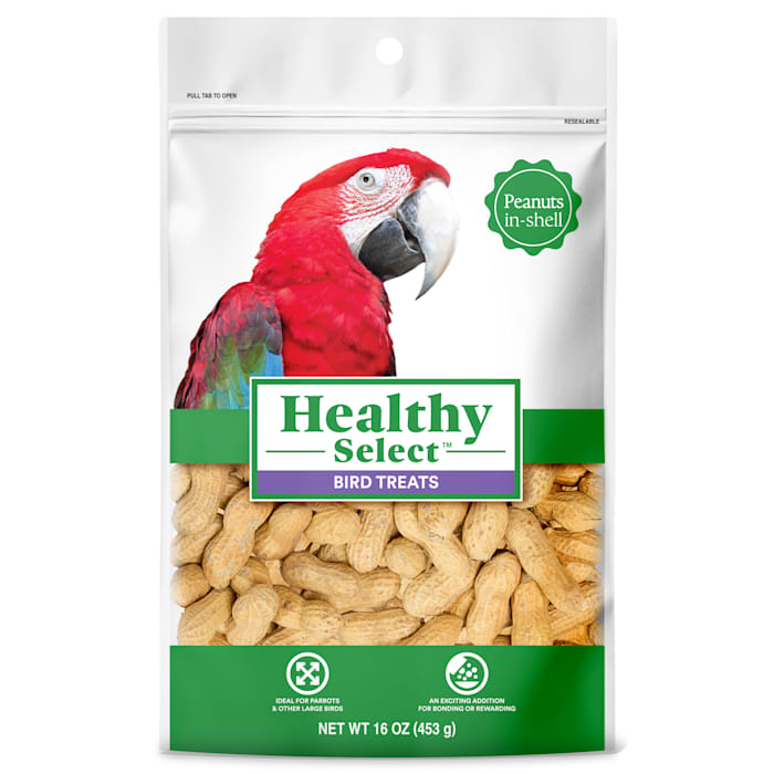 Healthy Select In Shell Peanuts Treat for Birds, 16 oz.