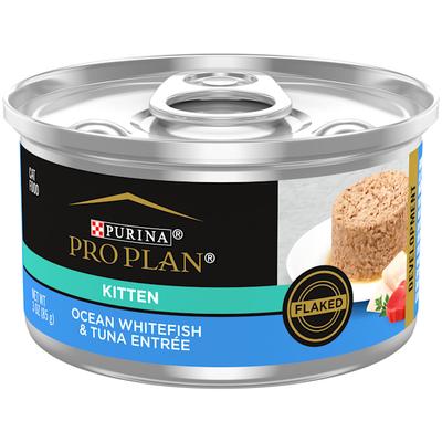 Purina Pro Plan Focus Flaked Ocean Whitefish & Tuna Entree Wet Kitten Food, 3 oz., Case of 24