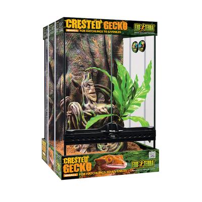 Exo-Terra Crested Gecko Kit