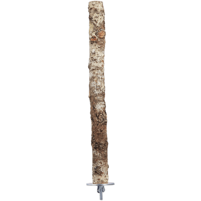 You & Me 3/4-inch Natural Fir Wood Bird Perch, Medium