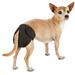 Washable Diaper for Dogs, X-Small, Black