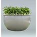 Allied Molded Products Orlando Composite Pot Planter Composite in Red | 24 H x 72 W x 72 D in | Wayfair ORL-7224-PD-20