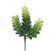 Union Rustic Donkey Tail Desktop Succulent Plant Plastic | 6 H x 2 W x 2 D in | Wayfair CC994DE92C5740778B10BF6E3F5DFD81