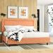 Mercury Row® Teen Low Profile Standard Bed Upholstered/Polyester in Orange/Black | 49 H x 78 W x 56 D in | Wayfair 240DA430166140758DD2ADD426A68721