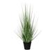 Highland Dunes Snake Plant Grass in Pot Plastic | 20.87 H x 3.5 W x 3.5 D in | Wayfair A90EC9152BC04B6F94D46939B2041E09