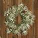 The Holiday Aisle® Flocked Pine w/ Pinecones 18" Plastic Wreath in Green | 18 H x 18 W x 4 D in | Wayfair 8E20D17CB8AB4DF1984DD41B5FAF6DEE