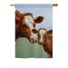 Breeze Decor Cow & Calf Nature Everyday Farm Animals Impressions 2-Sided Polyester 40 x 28 in. House Flag in Gray | 40 H x 28 W in | Wayfair