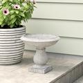 Ophelia & Co. Mayhall Birdbath Concrete in Brown | 8.75 H x 10.25 W x 10.25 D in | Wayfair C80D9253A2BB40159EC6B480E2B86B72