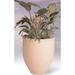 Allied Molded Products Troy Composite Pot Planter Metal in White/Black | 36 H x 32 W x 32 D in | Wayfair 1P-3236-PD-DC