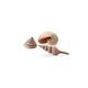 biOrb 48355 Muschel Set natural - kompakte Keramik-Muscheln im 3er-Set zur Dekoration von Süßwasseraquarium und Meerwasseraquarium