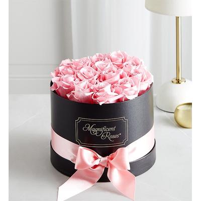 1-800-Flowers Flower Delivery Magnificent Preserved Pink Roses Classic Pink