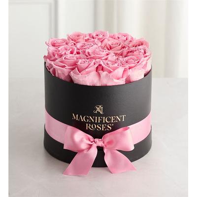 1-800-Flowers Flower Delivery Magnificent Preserved Pink Roses Classic Pink