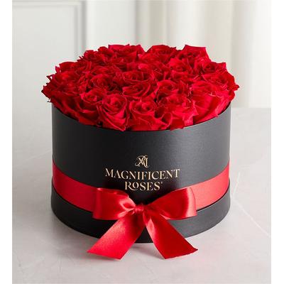 1-800-Flowers Flower Delivery Magnificent Preserved Roses Premier Red | 100% Satisfaction Guaranteed