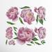 Willa Arlo™ Interiors Avendano Peony Wall Decal Vinyl in Pink | 17.2 H x 23.5 W in | Wayfair 9E447C822E6244FCA75A6E0521A6D8F1