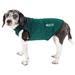 Active Aero-Pawlse Heathered Green Quick-Dry Dog Tank Top T-Shirt, X-Small