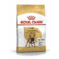 Croquettes Royal Canin Bulldog Français : 9 kg