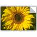 August Grove® Sunflowe Removable Wall Decal Vinyl in White | 24 H x 36 W in | Wayfair ECD24112524F43D28042462E557E063A