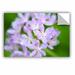 August Grove® Ornamental Onion Removable Wall Decal Metal | 32 H x 48 W in | Wayfair 99B461DF1AF94E8F92BD33DF399AF685