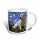 3dRose Labrador Retriever-Mug, Keramik, Weiß, 12,7 cm x 11,43 x, 8.45